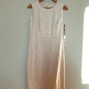 NWT Calvin Klein Light Pink Dress Exposed Zipper